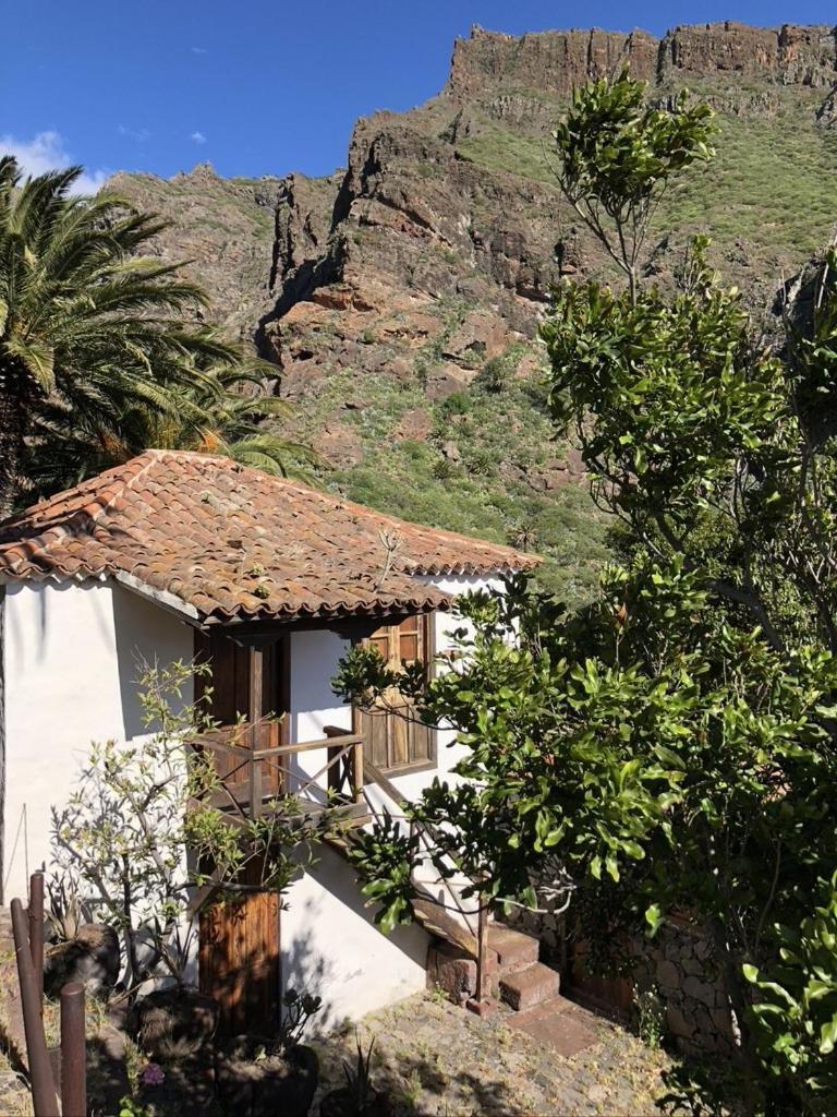 Home2Book El Encanto De La Torre I Σάντα Κρουζ Τενερίφης Εξωτερικό φωτογραφία
